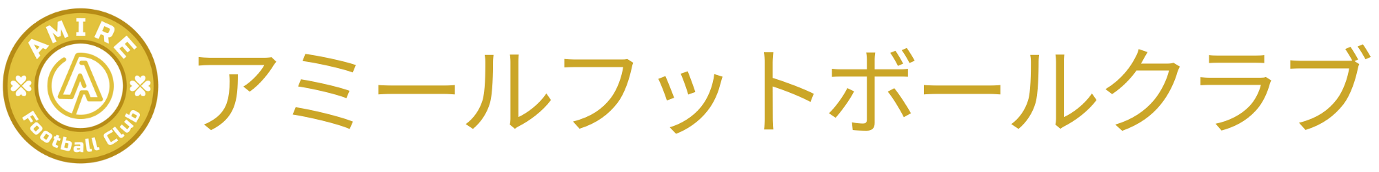 アミールフットボールクラブ